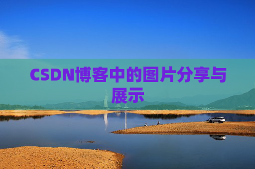 CSDN博客中的图片分享与展示
